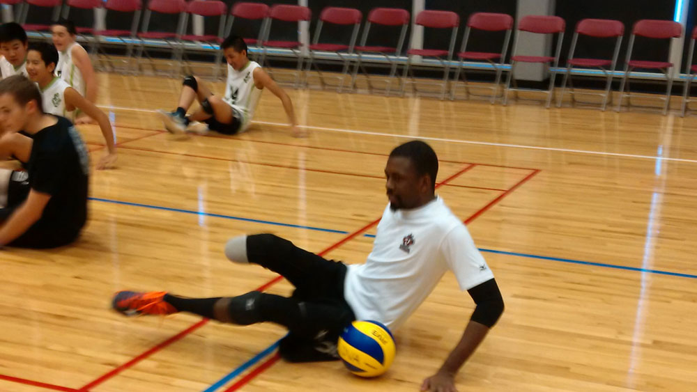 Gallery Venom Volleyball