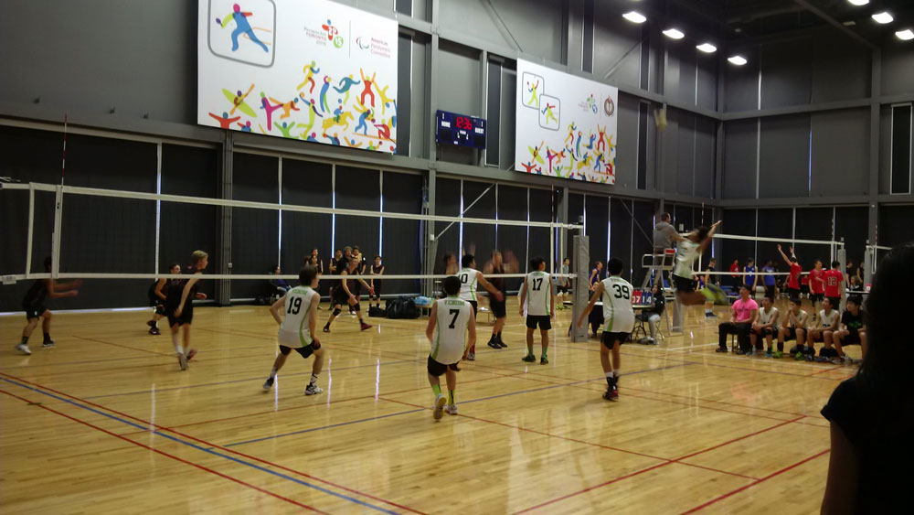 Gallery Venom Volleyball